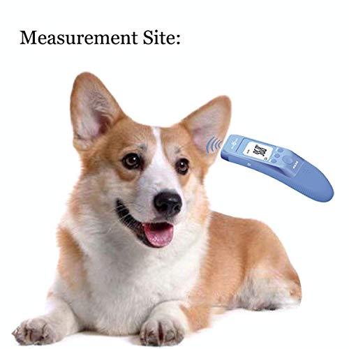 MINDPETMED Fast Clinical Pet Thermometer for Dogs, Cats, Animals with 3 Switchable Modes (Body