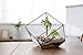 Modern Clear Glass Geometric Terrarium Succulent Plant Display Box, Decorative Votive Candle Holder