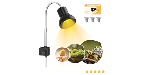 dog leash chain bulk