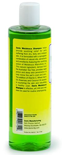 Davis Melaleuca Shampoo, 12 oz