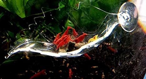 Marine Color Fish Tank Feeder Aquarium Shrimp Amazon Com