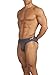 Obviously Apparel Basics Collection - AnatoMAX Hipster Brief - Graphite - Large