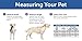 PetSafe Extreme Weather Pet Door - Insulated Weather-Resistant Dog & Cat Door with Durable Plastic Frame - Maximum Energy-Saving Efficiency - Small - for Dogs & Cats up to 15 lbs