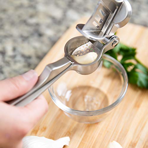 Homarden Garlic Press Mincer Tool - Handheld Garlic Crusher and Masher Kitchen Tool - Heavy Duty Garlic Smasher and Ginger Press - Self Cleaning Garlic Presser with Handle and Soft Rubber Comfort Grip