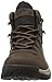 Columbia womens Newton Ridge Plus Waterproof Hiking Boot, Cordovan/Crown Jewel, 9 US