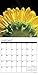 Sunflowers 2017 Wall Calendar