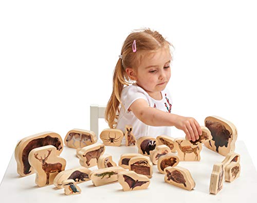 4 TickiT+Wooden+Forest+Animal+Blocks