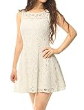 Allegra K Women Sleeveless Semi Sheer Yoke Floral Lace Mini Flare Dress