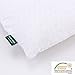 Natural Talalay Latex Foam Pillow Standard with Eco-friendly Hypoallergenic and Anti-mite by SWEESLEEP (Soft, 23