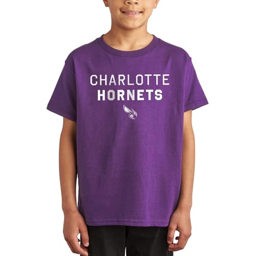 Junk Food NBA - Charlotte Hornets - Core Stacked - Officially Licensed Youth Sh…