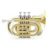 Classic Cantabile Brass TT-500 Bb-Taschentrompete Messing – Trompete im Taschenformat – Messing lackiert – Inklusive Mundstück und Koffer