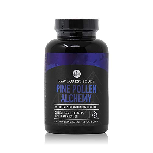 Pine Pollen Alchemy Capsules | Endocrine Strengthening Formula Pine Pollen Alchemy Capsules | Endocrine Strengthening Formula