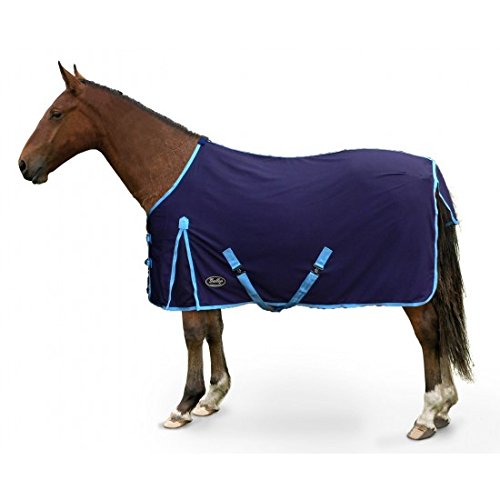 Gallop Summer Sheet