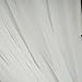 BalsaCircle 10 feet x 10 feet White Sheer Voile Backdrop Drapes Curtains 2 Panels 5x10 ft - Wedding Ceremony Party Home Decorations