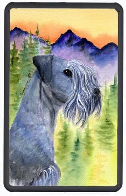 Carolines Treasures SS8232KFC Cesky Terrier Kindle Fire Snap on Case