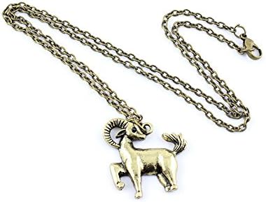 2 PCS Fashion Jewelry Necklace Long Chain Pendent Sweater Collar Bib Choker Collier Capricorn Zodiac