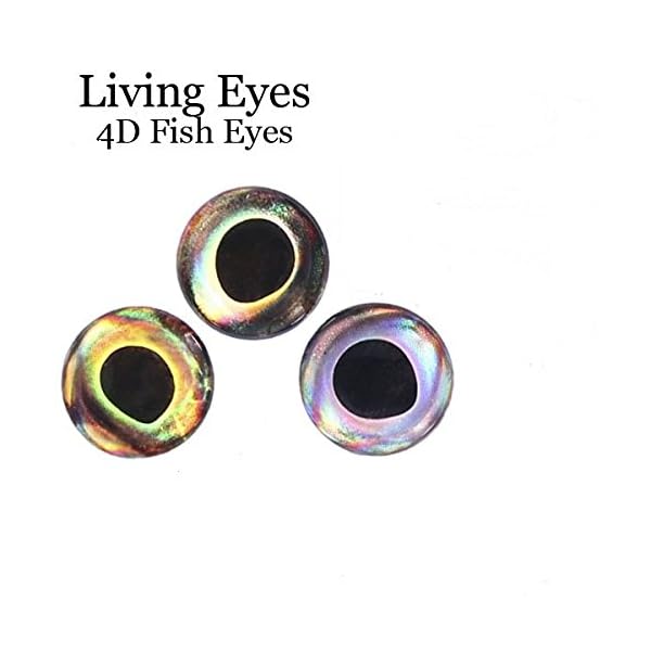 RAH-3D-Epoxy-Eyes-60-Pack-For-Fishing-Fly-Tying-Fishing-Lures-Crafts-Available-in-multiple-Colors-Sizes-Lifelike-3D-Fish-Eyes