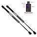 Beneges 2 Sets Front Hood Lift Supports Struts Gas Charged Springs for Ford Expedition 1997-2002, Ford F-150/ F-150 XLT 1997-2004, Ford F-250/F-250 XLT 1997-1999