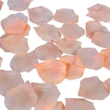 Sachet De 1000 Petale De Rose Artificielle Pour Mariage Saumon Amazon Fr Jeux Et Jouets