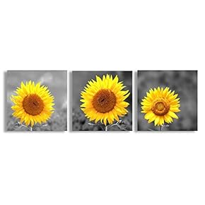 Canvas Wall Art Beautiful Flowers Collage Painting Artwork for Home Prints Framed - 12"x12"x3 Panels