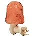 Wuudi Natural Himalayan Salt Lamp, Mini Hand Carved Crystal Salt Light (Natural-Shaped)