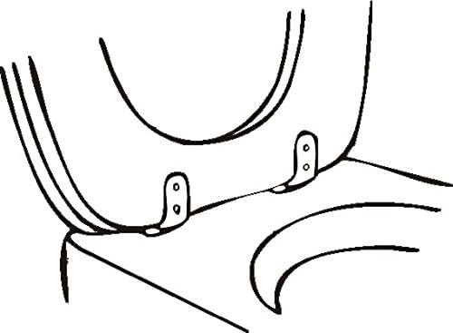CORNAT TEC364980 Toilet seat Hinge Soft Close with Mounting Brass, Weiß - Image 4
