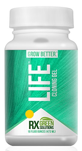 Rx Green Solutions Life Cloning Gel, 16-Ounce