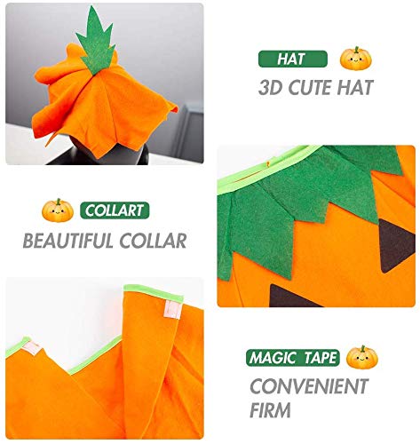VGoodall Kinder Kürbis Kostüm, Kürbis Umhang mit Hut Mütze für Purkin Halloween Cosplay Party Kleidung Körpergröße 60-70cm