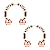 Ruifan 16G 8mm Rose Gold CBR Horseshoe Circular Rings 316L Surgical Steel for Lip Eyebrow Tongue Nipple Helix Tragus Cartilage Septum Piercing Jewelry 2PCS