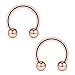 Ruifan 16G 8mm Rose Gold CBR Horseshoe Circular Rings 316L Surgical Steel for Lip Eyebrow Tongue Nipple Helix Tragus Cartilage Septum Piercing Jewelry 2PCS