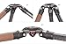 Leofoto LN-364C Systematic Gitzo Series 4 Compatible Bowl Tripod Legs Carbon Fiber CF