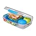 Sistema To Go Collection Large Bento Box Plastic Lunch and Food Storage Container, 7.4 Cup, Multi Compartment, Color Varies | BPA Free