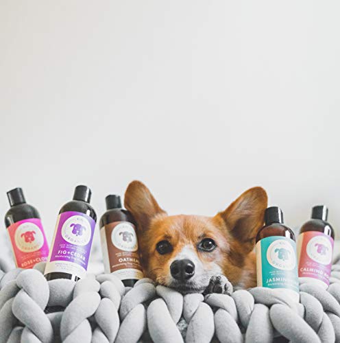 kin organics Fig+Cedar Organic Dog Shampoo, 12oz
