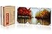 Asmork 100% Hand-Painted Autumn Scenery Trees Landscape Southwest Panel Wall Art Oil Paintings On Canvas Paintings Home Decor Ready to Hang Artwork - 3 Pieces