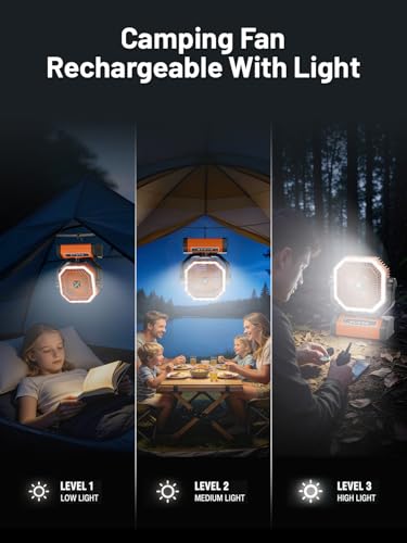 Battery Powered Fan - 9-Inch Rechargeable Fan Portable, 24000mAh(60Hrs) Camping Fans for Tent, Auto Oscillation Cordless, Tent Fans for Camping with Remote/light, 4 Speeds, 4 Timing, Outdoor