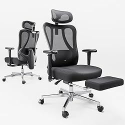 Hbada P3 Ergonnomic Office Chair with 2D Adjustable