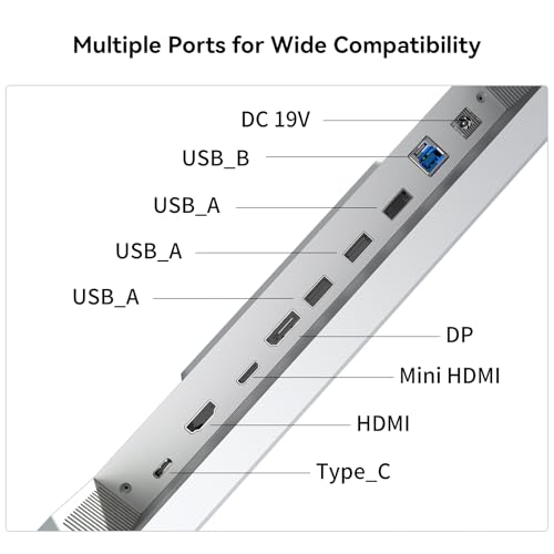 Bigme B251 Epaper Color Monitor 25.3 Inch Screen