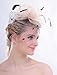 FAYBOX Elegant Silk Flower Feather Dot Net Fascinator Hat Hair Clip BlushPink