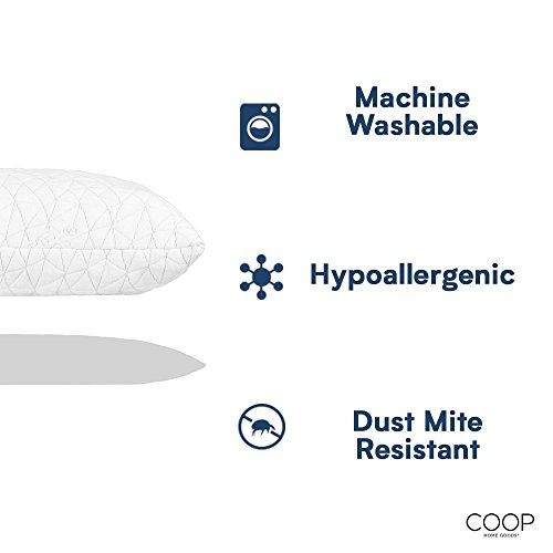 Coop Home Goods - Original Pillow 2-Pack (King)