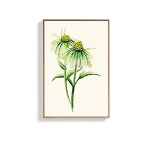 Framed Canvas Wall Art for Living Room, Bedroom Beautiful Flowers Canvas Prints for Home Decoration Ready to Hanging - 16x24 inches