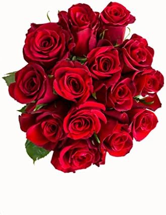 Red Roses Bouquet by Flower Explosion | Fresh Cut Farm Direct Roses - 36 stems