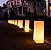 Elf Logic - Set of 10 Electric Luminary Bags (Incandescent Lights) - Plug in and Weatherproof Vellum Luminary Pathway Lighting - Reusable Luminary Bags - Perfect Outdoor Luminary Lights
