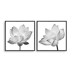 2 Piece Framed Home Artwork Transparent Flower for...