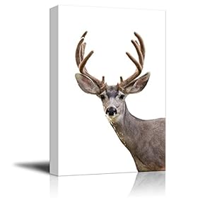 Canvas Wall Art - A Deer - Giclee Print Gallery Wrap Modern Home Art Ready to Hang - 12" x 18"
