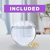 Grow Buddha Lotus Kit – Complete Beginner Seed Starter Kit with Vase & view 2