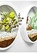 Pack of 3 White Round Wall Hanging Plant Terrarium Iron Planter Wall Hanging Container Succulent Plant Pots in Mixed Sizethumb 2