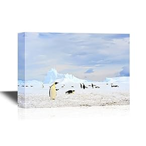 Canvas Wall Art - Penguins Playing - Gallery Wrap Modern Home Art | Ready to Hang - 12x18 inches