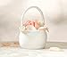 Flower Girl Basket Color: Ivory