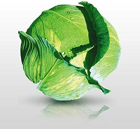 amazon brassière femme