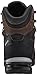 Lowa Men's Camino GTX Hiking Boot